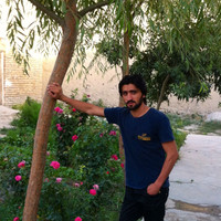 Aman Izidyar