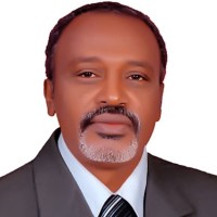 Prof. Dr. Anas A. Fadlelmula