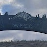 Beat Ward