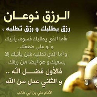 amer alansary