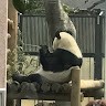 篠塚理沙