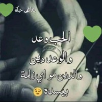 Mahmoud Alhoussein