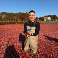 Steven Jin
