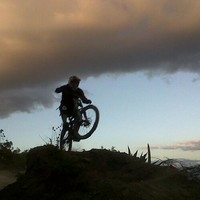 sebastian mena