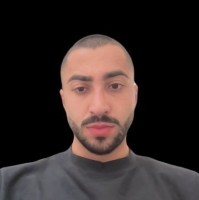 Ali Ansari