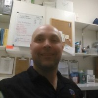 David Schearer