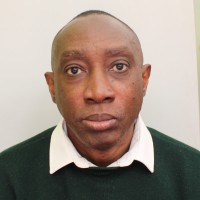 Ademola Onibokun