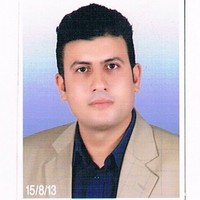 Alaa Hafez