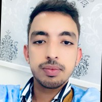 Mohamed Lemine Ahmed Saleh