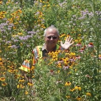 Bill Fielding