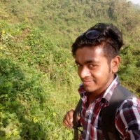 Md Mahmudul Hasan Hasan