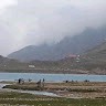 Tahir Sharif