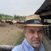 Gustavo Adolfo Gamarra Montefusco
