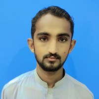 Muhammad Arif Baig