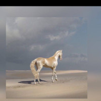 خديجه البنك الاول حدادي