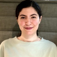Hanieh Moeinzadeh