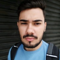 Leonardo Albim