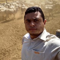Yelsonn Silva