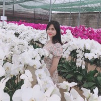 Trang Vo