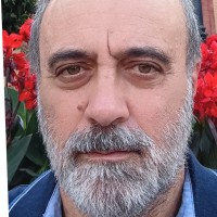Luca Antonini