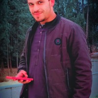 Muhammad Anees Anees