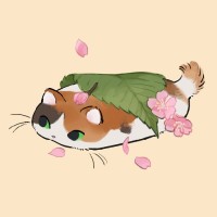王火火