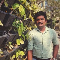 Hari Haran V