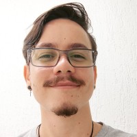Paulo Henrique de Oliveira P. Silva
