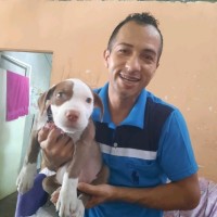 Jose Chichande Pacheco