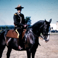 Bert COWAN, BA, PCIP