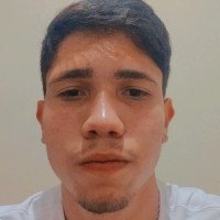 João Vitor de Almeida Ferreira