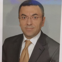 Erol Mertoğlu