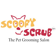 Scoopy Scrub Indore