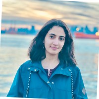 Dorsa Arman Moghadam