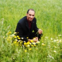Abdelkader Boubekeur