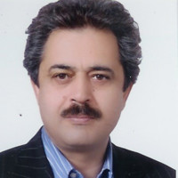 Mohsen Kassaee