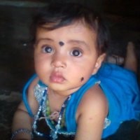 Chandrashekar Y K