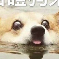 张扬帆