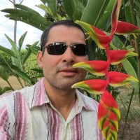Jose Helmer Castrillon Bedoya
