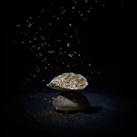 Ostra Regal Nos huîtres spéciales