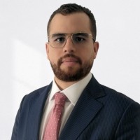 Nassim Hamidi