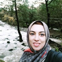 Elham Mohammadnejad
