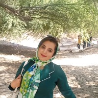 Maede Zarin