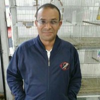 marinho camara