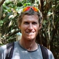 David Greenfield