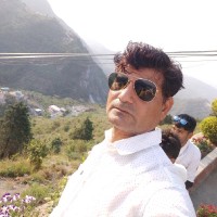 Y N Sharma