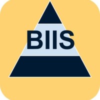 BIIS Consulting