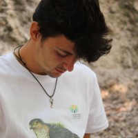 Mario Díez