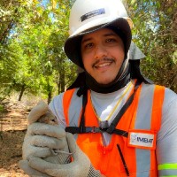 Wandeson Diego Reis Sousa