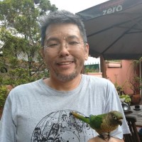 Nilton Oshiro